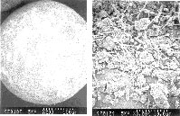 生物活性炭の電子顕微鏡写真